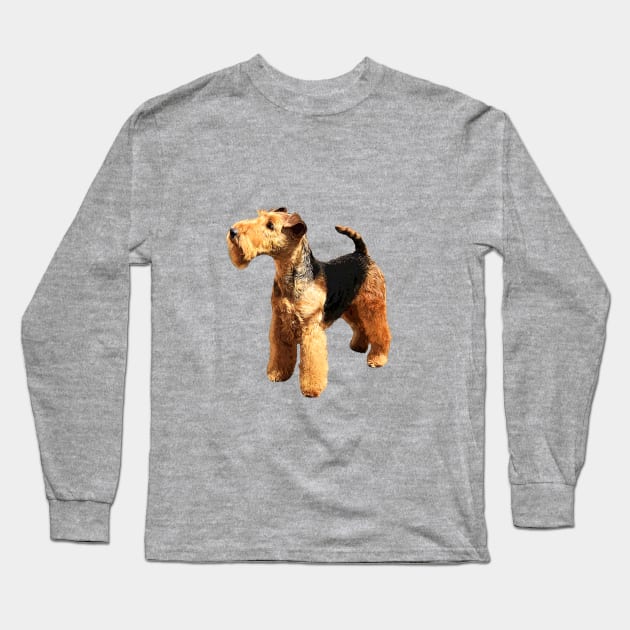 Welsh Terrier Beautiful Dog Long Sleeve T-Shirt by ElegantCat